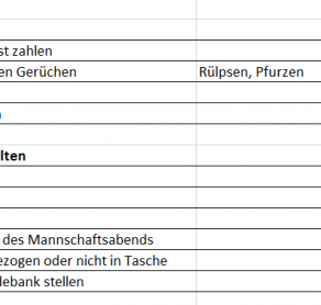 Strafenkatalog für die Mannschaftskasse Fußball und Handball